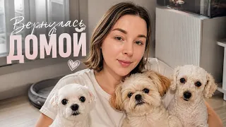 Возвращаюсь к влогам♡