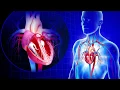CARDIOVASCULAR by Laura Gasparis CCRN Review