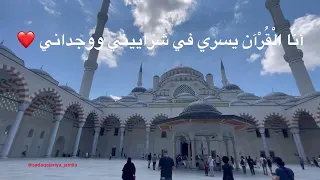 أنشودة جميلة أنا القرآن رباني 