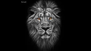 unreleased high gain song warning high bass trending dj song sound check dj song 