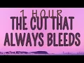 Download Lagu Conan Gray - The Cut That Always Bleed | 1 hour