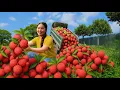 Download Lagu Gadis Desa Panen Leci dan Jual ke Pasar Tradisional | Masak Pakan Babi di Kebun