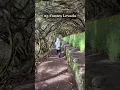 Levada Rabaçal 25 Fontes, Madeira Island, Portugal 🇵🇹