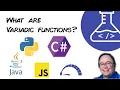 What are Variadic Functions
