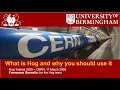 Hog L on git Tutorial 2025 Part I Hog Introduction