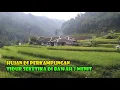 Download Lagu Nestapa Paruh Baya Di Tanah Kaya..Sebagian Rumah Sudah Ambruk..Pemilik Hanya Bisa Pasrah.