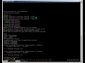 SVN delete revision