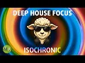Peak Focus for Complex Tasks Boost Productivity - Deep House Lamb Mix