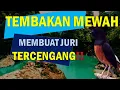 VARIASI TEMBAKAN MURAI BATU FULL ISIAN MEWAH FAVORIT JURI | MASTERAN MURAI BATU JUARA