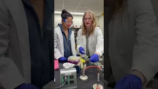 Day in the life Biochemistry Public Health student University of Maryland Science