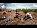 Lagu Le cri du Kenya oublié : Entre sécheresse, famine et survie | Documentaire Environnement - AMP