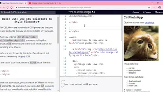 Learn Basic CSS Use CSS Selectors to Style Elements freeCodeCamp org Google Chrome 2019 12 11 1