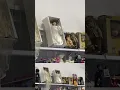 Dolls and porcelain figures at thrift store