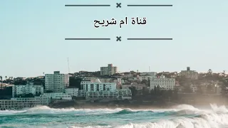 قصيدة جميله   رضيت برب الورى خالقي        دندنها