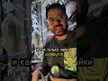 Download Lagu 🍇🔥 Купил самый большой виноград! Дегустация состоится при 30 лайках!