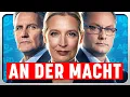 AFD - Warum eigentlich nicht?