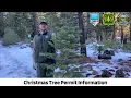Christmas Tree Permits Information