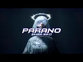 Lagu PARANO [AUDIO EDIT] (TikTok Version)