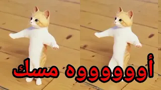 اغنية مسك الزينة عيد ميلاد مسك بالتعليق المثبت سطلانة السعودية لامارات العراق البحرين تركيا الجزائر 