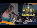 Download Lagu 14 MALAM Arneta Julia - Mahesa Music