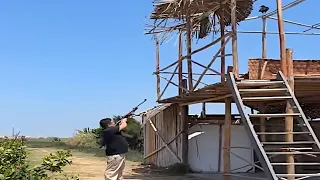 Streamer Mató un Ave Sagrada
