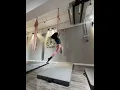 Aerial hammock - how to be loved by Sofia Karlberg and Victoria Voss