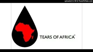 dj fibers tears of africa afro drum mix
