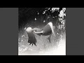 Download Lagu fullmoon lullaby