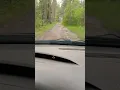 Download Lagu 🚗🌳Лесная дорога