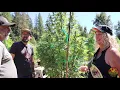 Mary Polson Seed 707 - Music Medicine