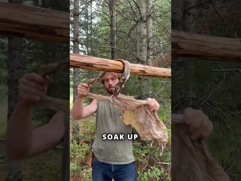 Making Brain Tanned Buckskin #huntingseason #braintan #buckskin #hidetanning #selfsufficiency