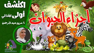 أجزاء الحيوان اكتشف أولى ابتدائي الاسكوله 