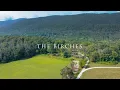 The Birches