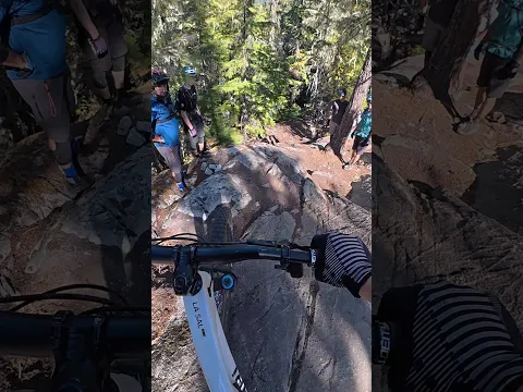 So many lines!