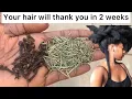 Clove and Rosemary Water for Maximum Hair Growth and Thicker Hair Within 2 weeks