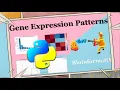 Differential Gene Expression Analysis in Python RNA Seq Data Analysis Bioinformatics for Beginners
