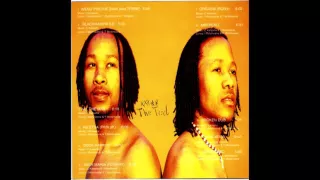 wenu phethe bani feat thebe twistyle