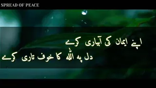 apne iman ki aabyari karey dil pe allah ka khaof tari kare new motivational tarana in urdu 2018