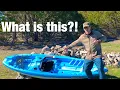 Initial walk-through and review of my new Pelican Challenger 100 Angler kayak