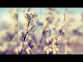 Nora En Pure - Come with Me (Slowed + Reverb)