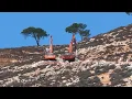 Download Lagu Excavadoras israelíes arrancan cientos de árboles de palestinos en Cisjordania | AFP