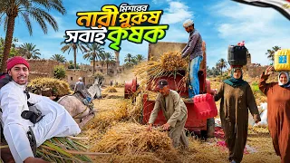 Village Life in Egypt || Egyptian Farmer Life || মিশরের এই গ্রামের নারী-পুরুষ শিশু সবাই কৃষক