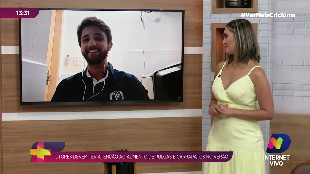 Verão conta com maior incidência de pulgas e carrapatos