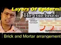 Layers of Epidermis Final part STRATUM CORNEUM the ultimate Barrier