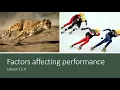 12 4 Factors affecting performance
