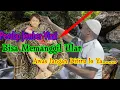 Lagu SULAP JEMBER VIRAL UMBAR BIRAWA II OG AL MUKHLAS II