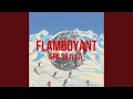 Download Lagu Flamboyant (feat. Pepijn Fecken \u0026 Malu de Backker)