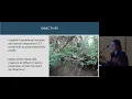 The Aquatic Trophic Productivity Model Modeling Stream Food Web Response to Riparian Treatments