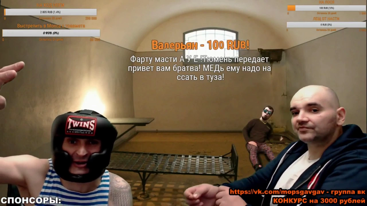 Мопс стример. Мопс стример. Мопс стример. Мопс мопс дядя пес. Мопс стрим.