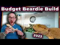 The Perfect Bearded Dragon Enclosure Setup for ANY Budget